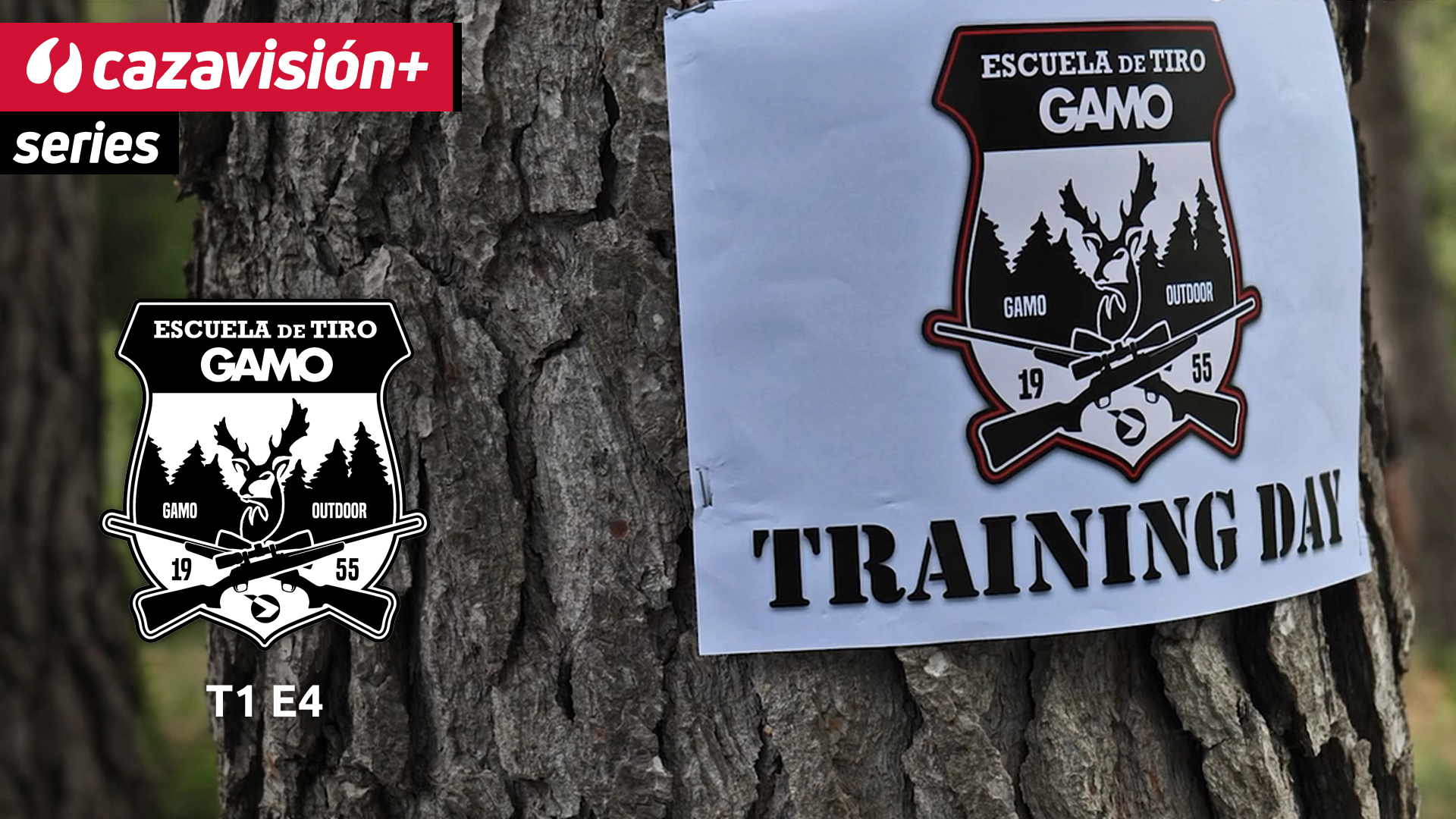 Cómo se hace una carabina. Training Day Gamo y cómo centrar un visor