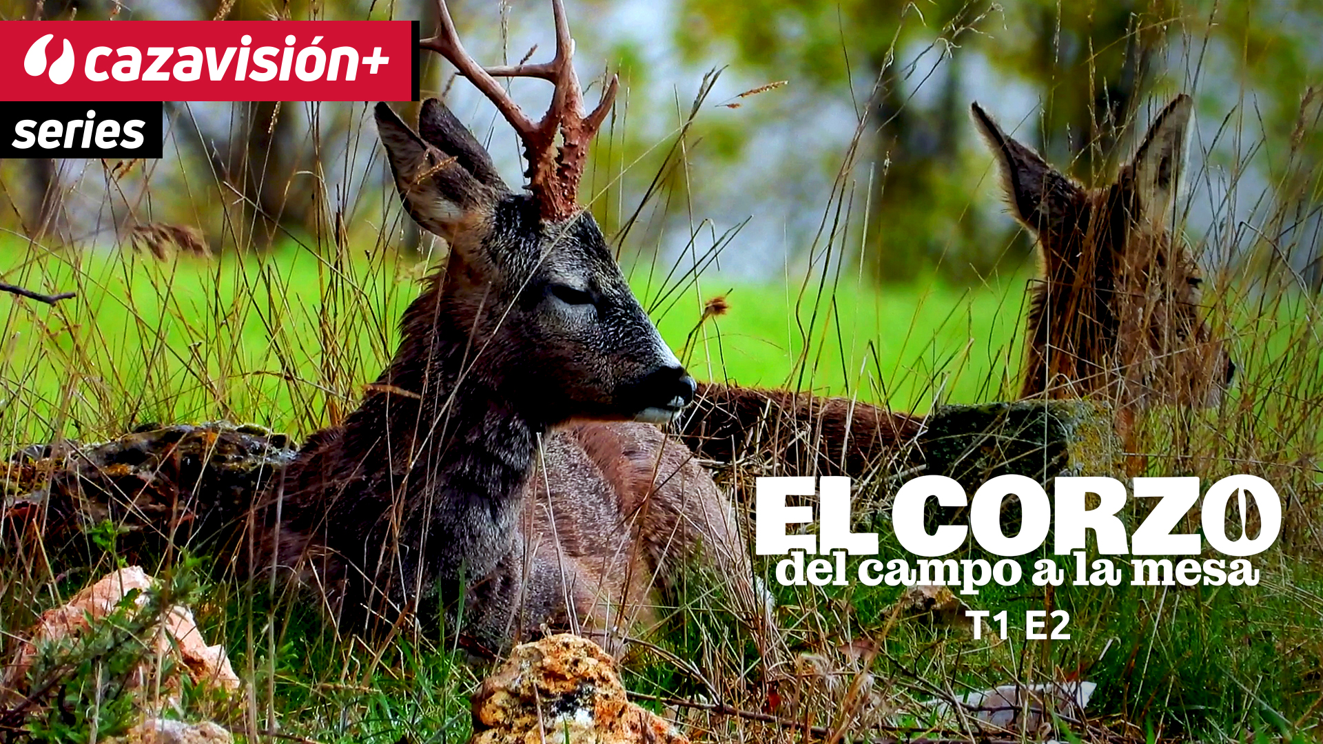 Primavera con Miguel Carretero