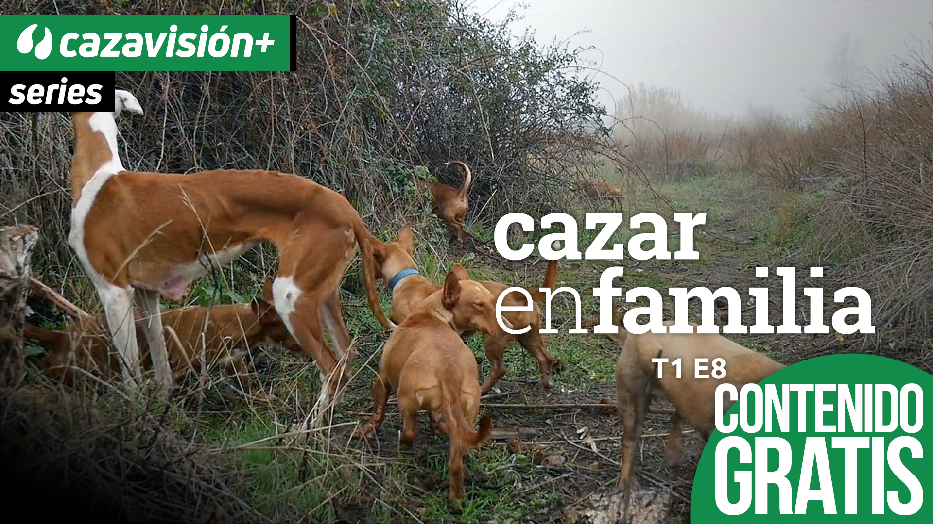 Cazar en familia: Cazadores sin escopeta