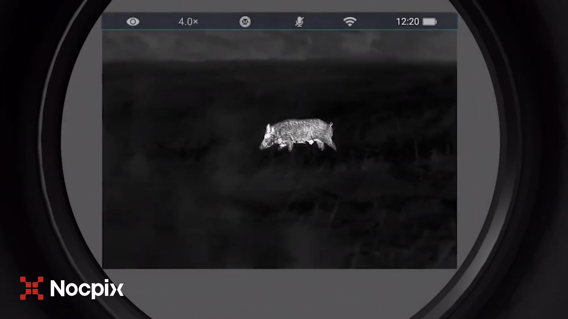 Duelo en la noche. El instinto del jabalí frente al poder de Nocpix