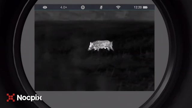 Duelo en la noche. El instinto del ja...