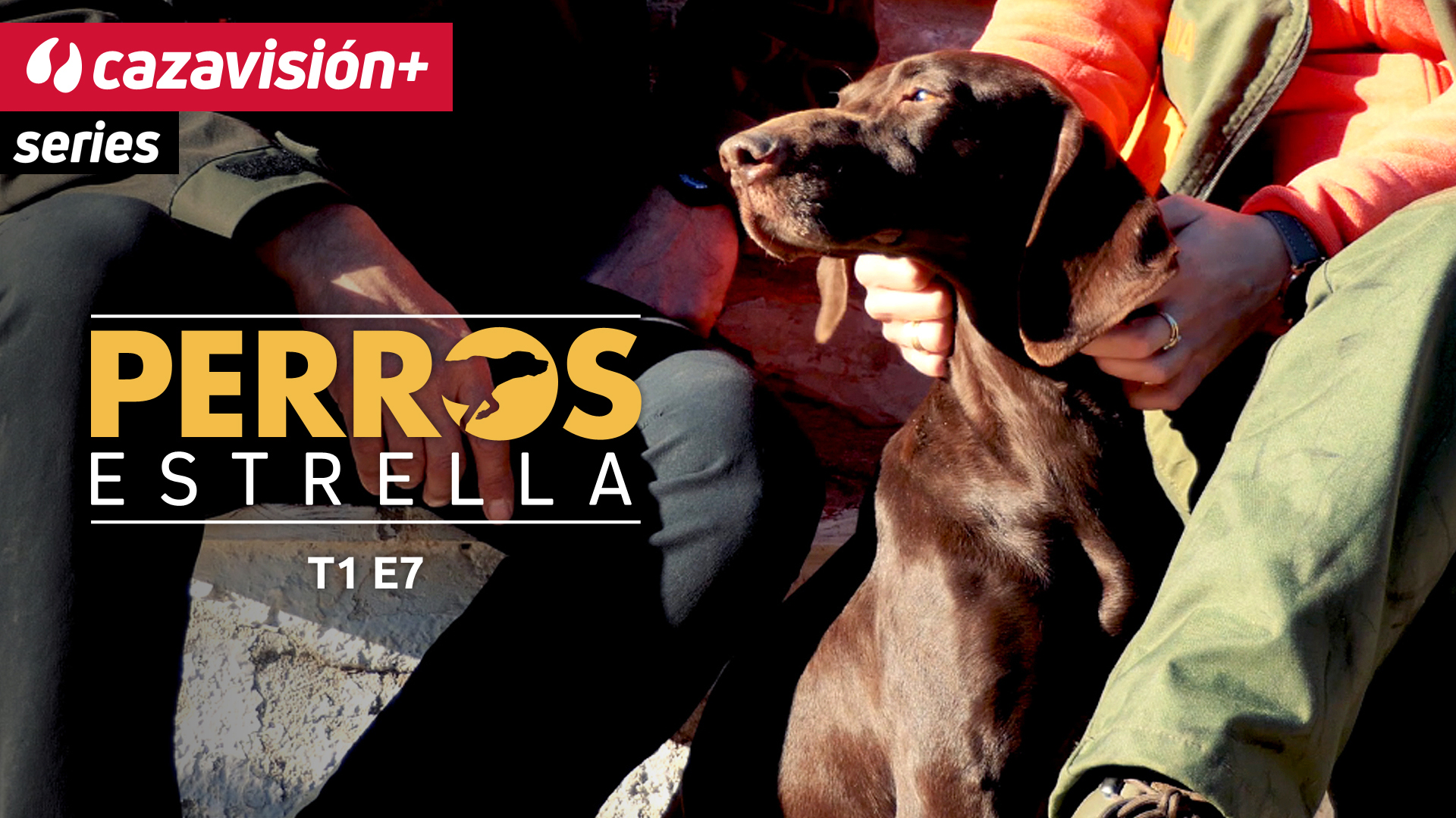 Xena, una braca 10 para San Huberto