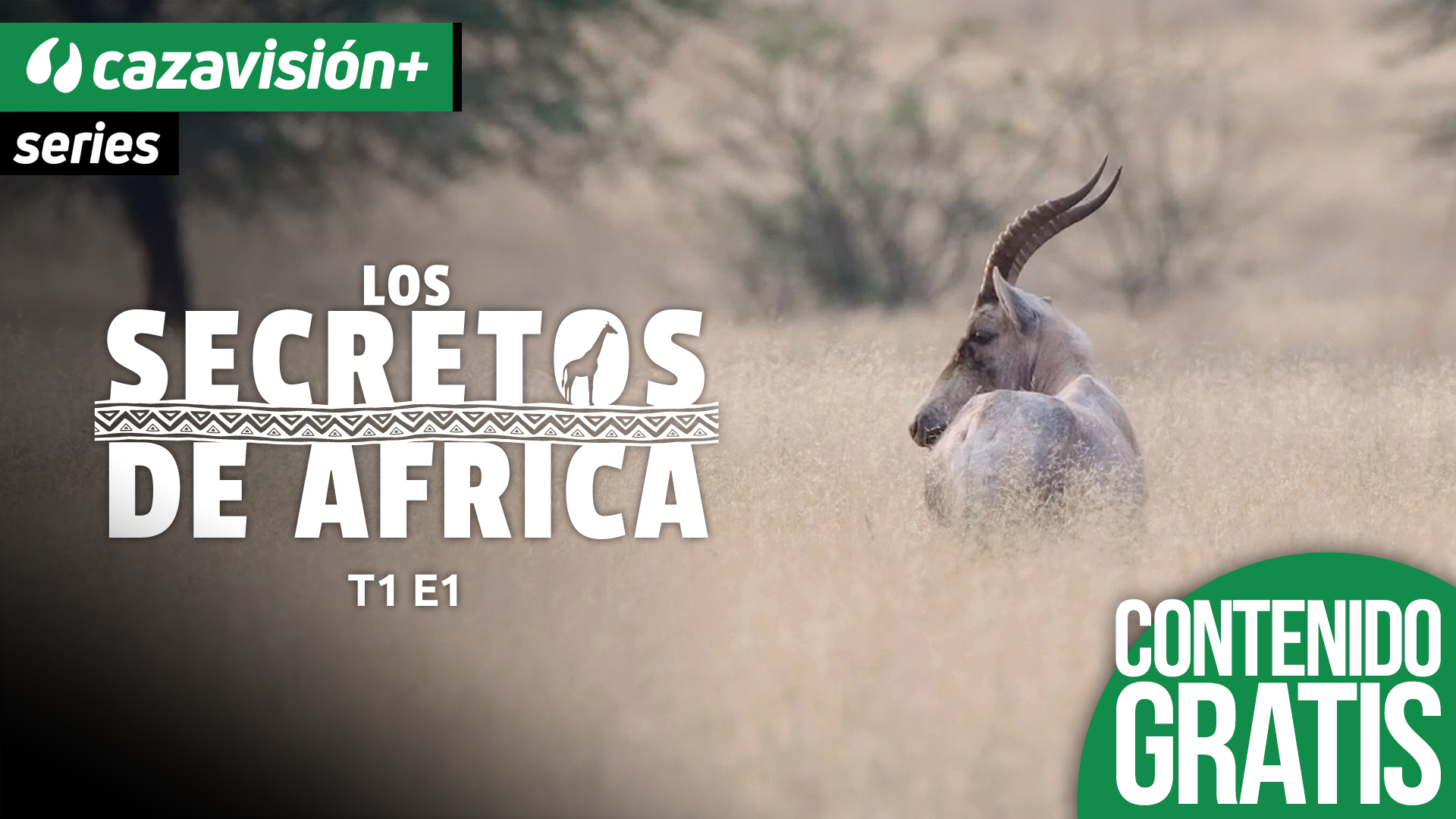 Cumpliendo un sueño