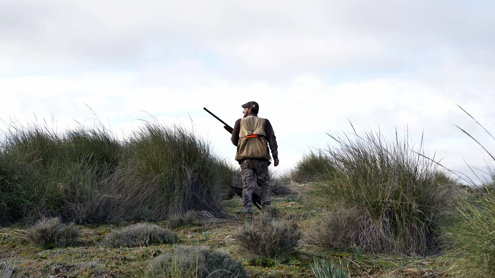 Perdices con podencos y oritos