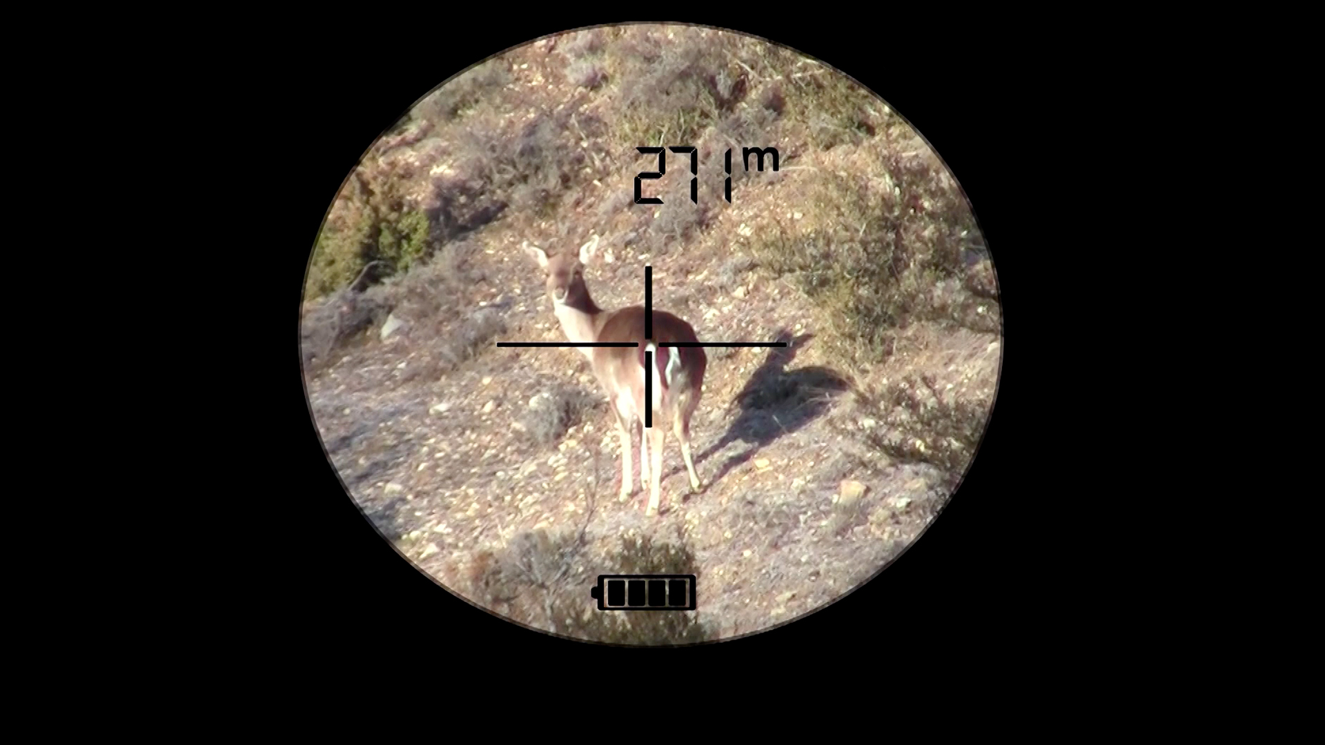 Habilidades del cazador a rececho