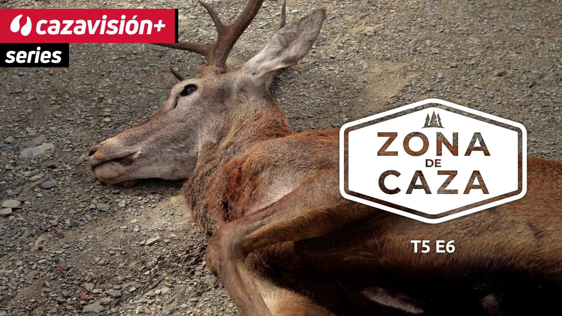 Montería en la capital de la caza: Mértola