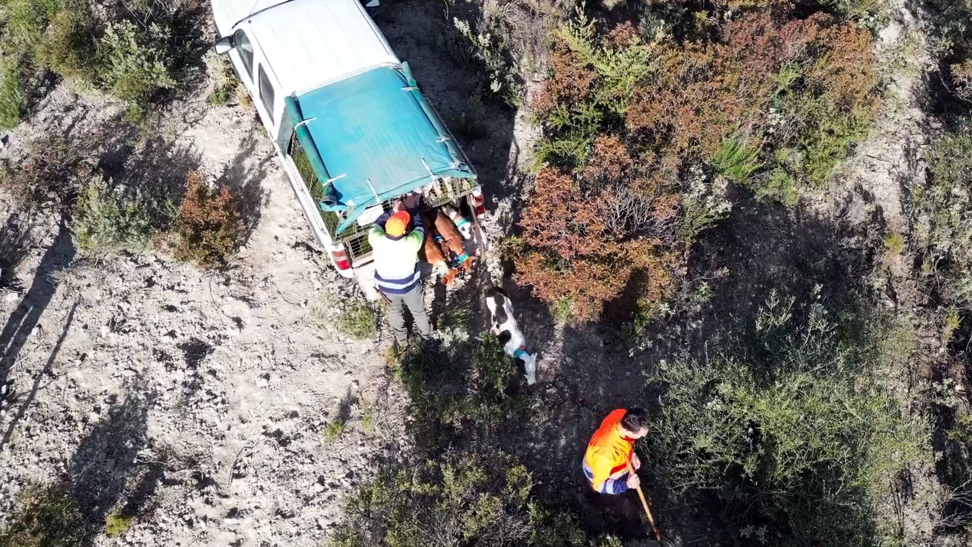 Montería en la Mora