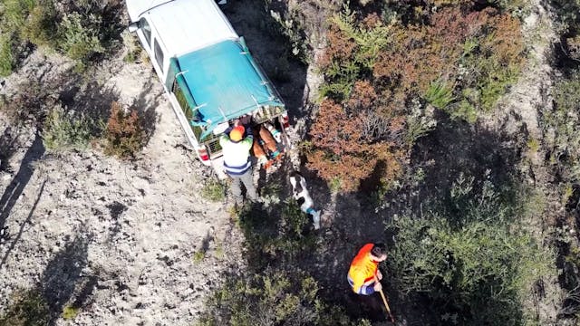 Montería en la Mora