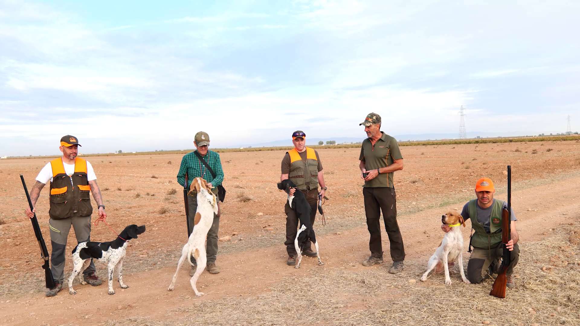 El pointer, veloz e incansable cazador