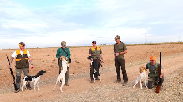 El pointer, veloz e incansable cazador