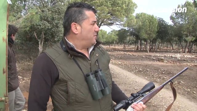 Montería en el Plantío