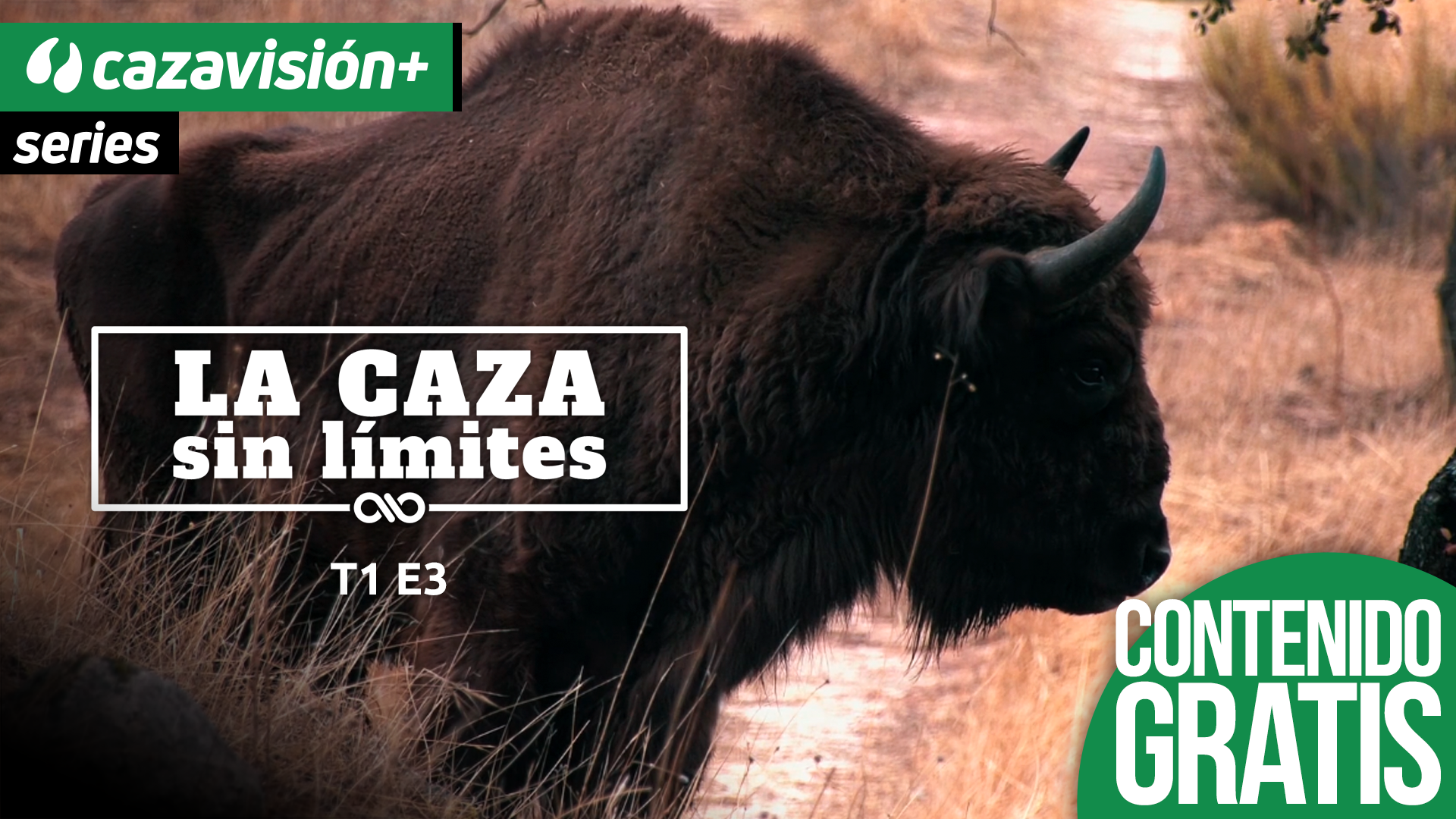 La introducción del gigante europeo