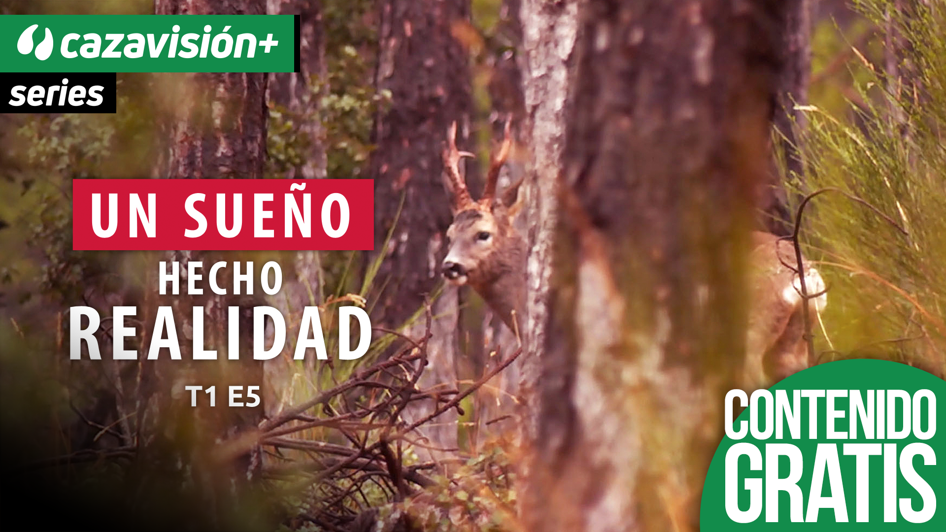 Corzos, el primer día de la temporada