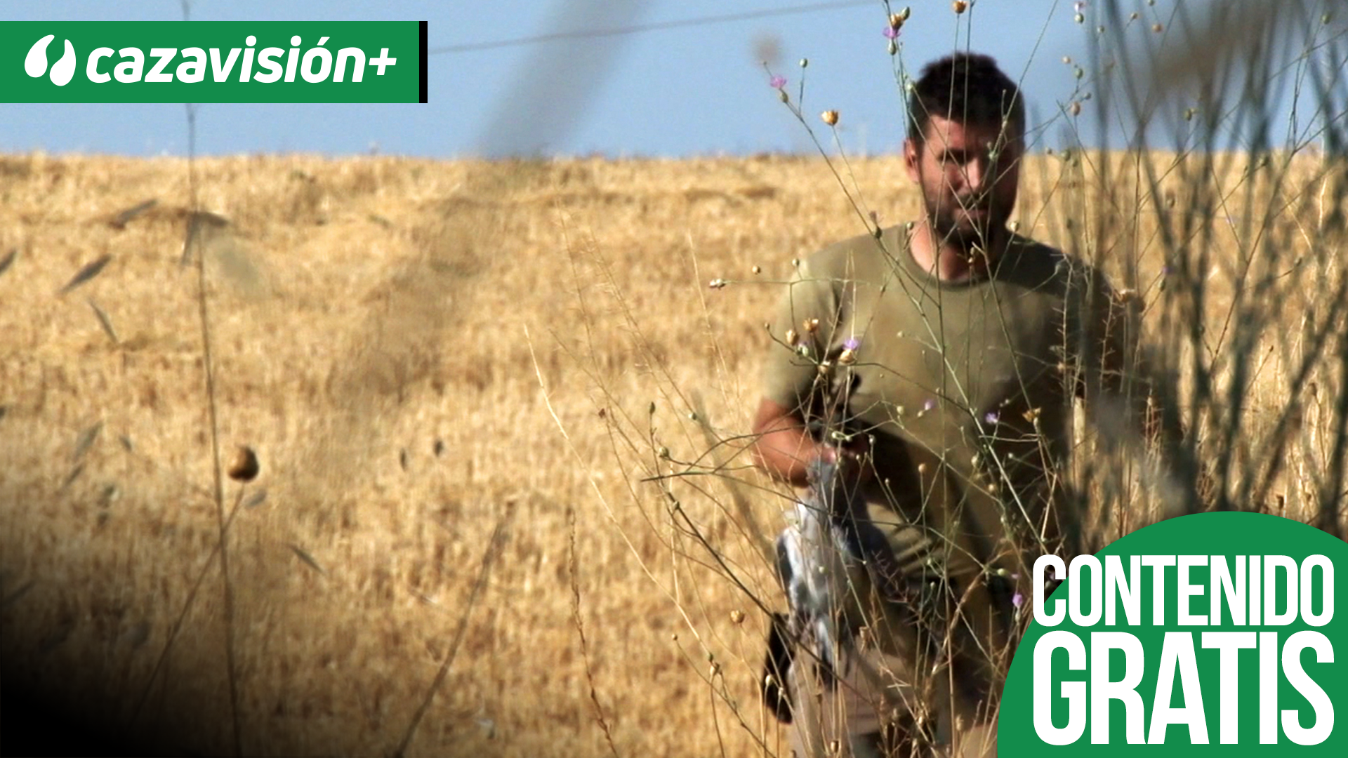 Media veda en Madrid