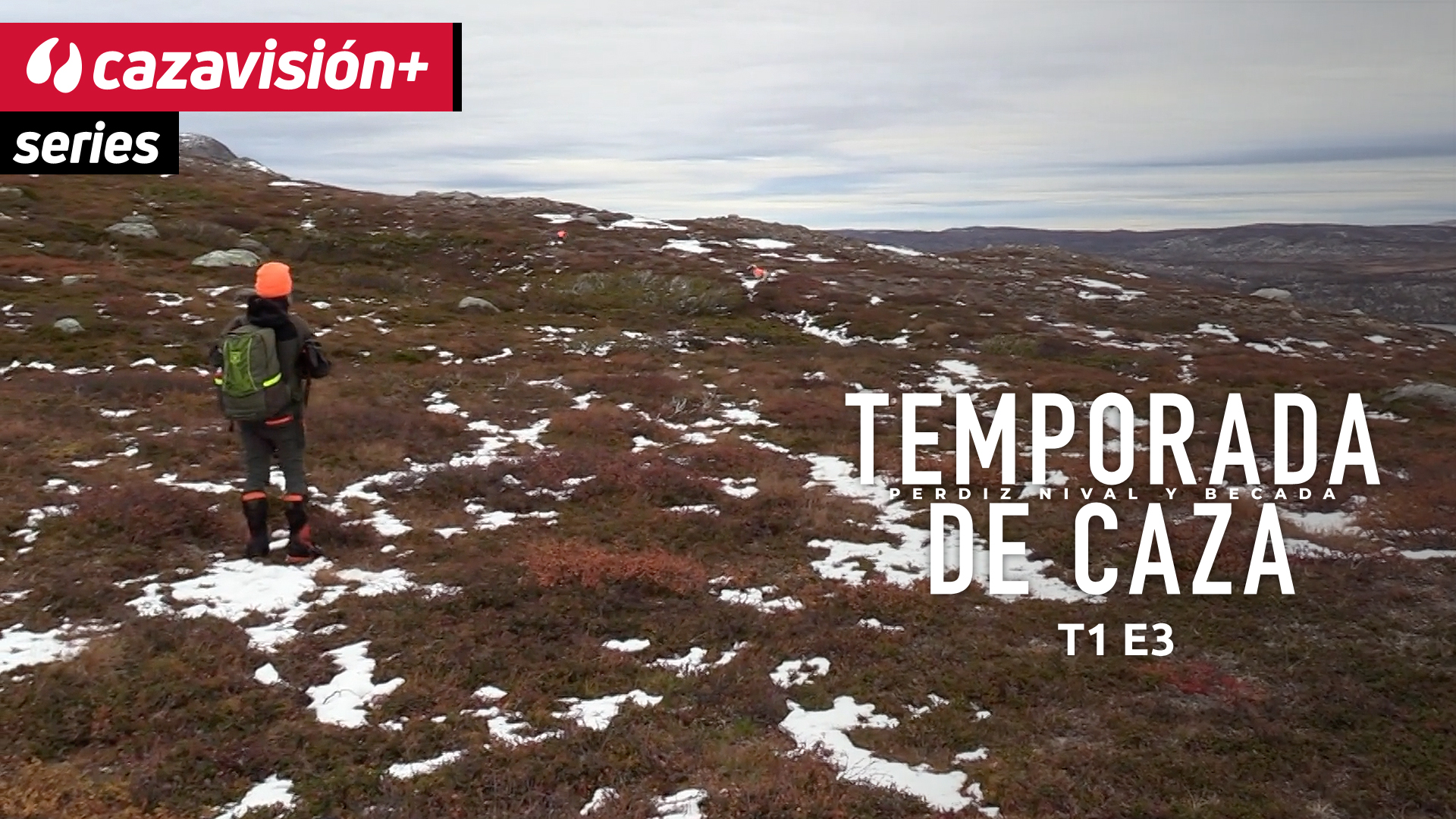 La fiebre lapona por la perdiz nival 3