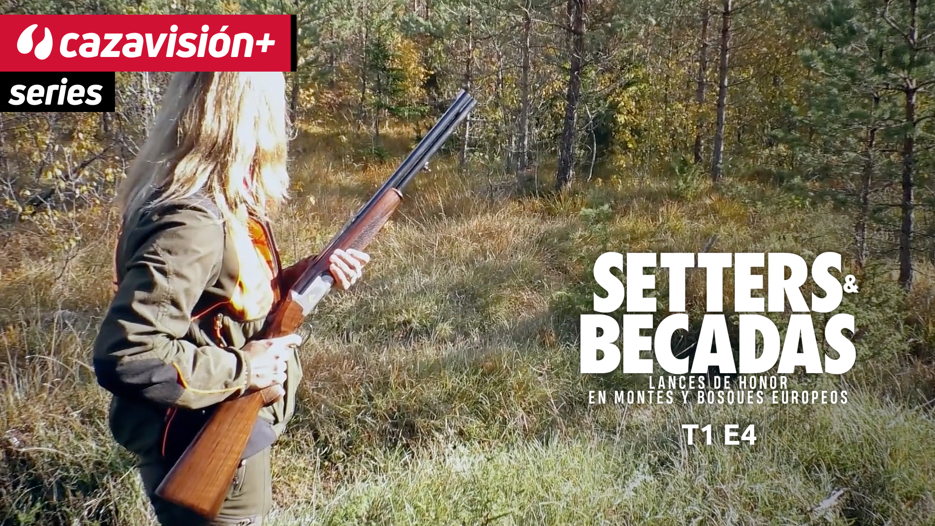 Intereses compartidos