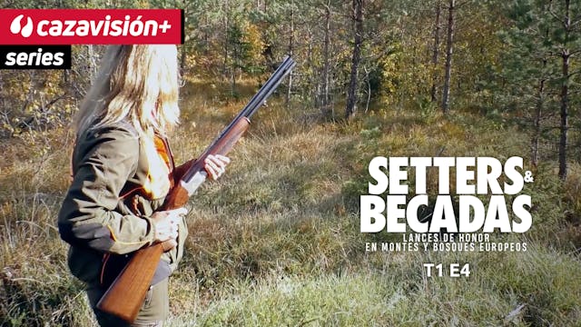 Intereses compartidos