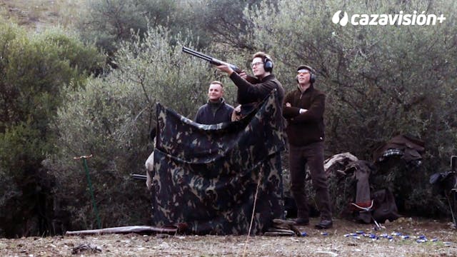 Ojeo de perdiz entre riberos