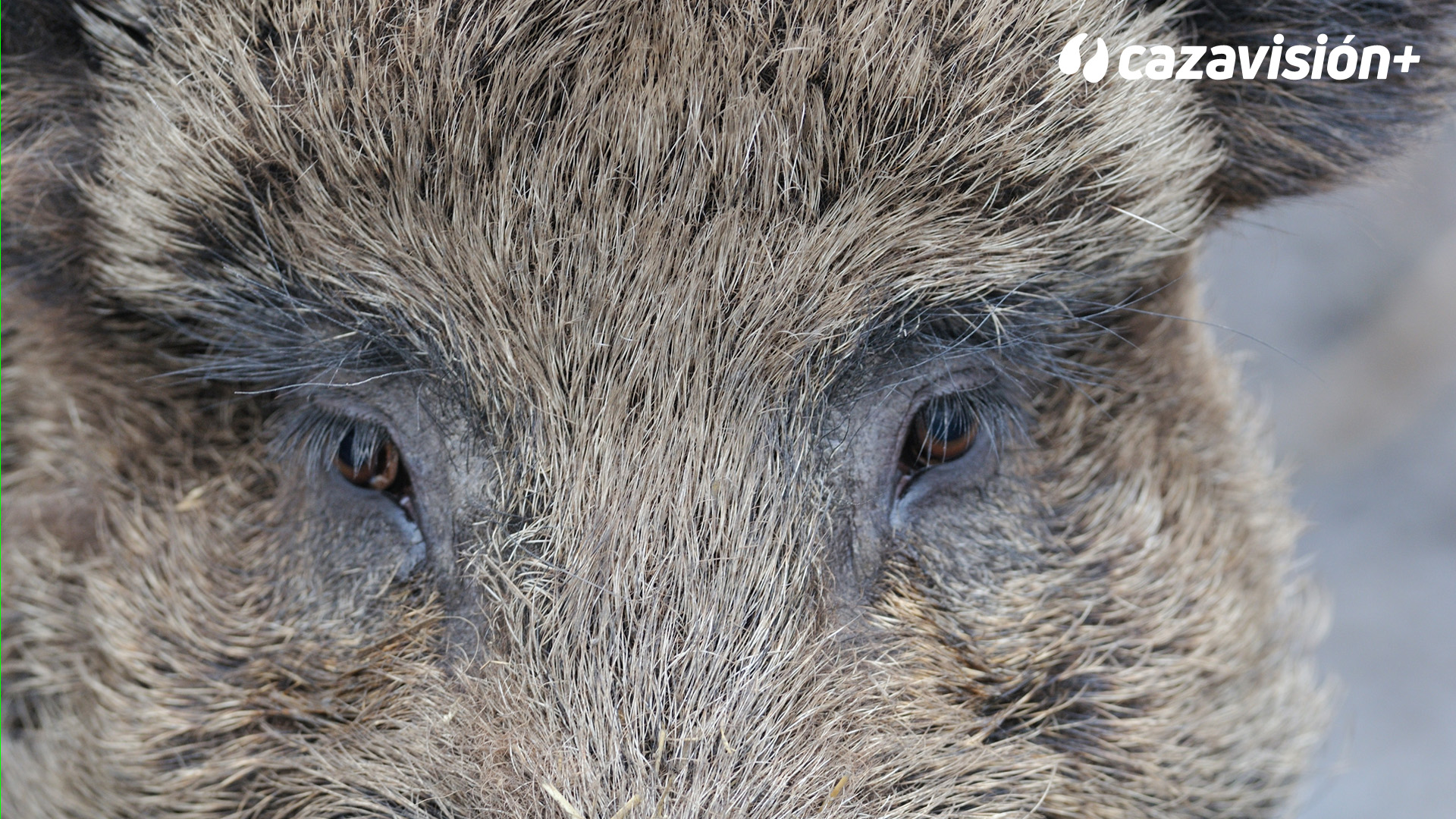 Monteando EL Chaparrón