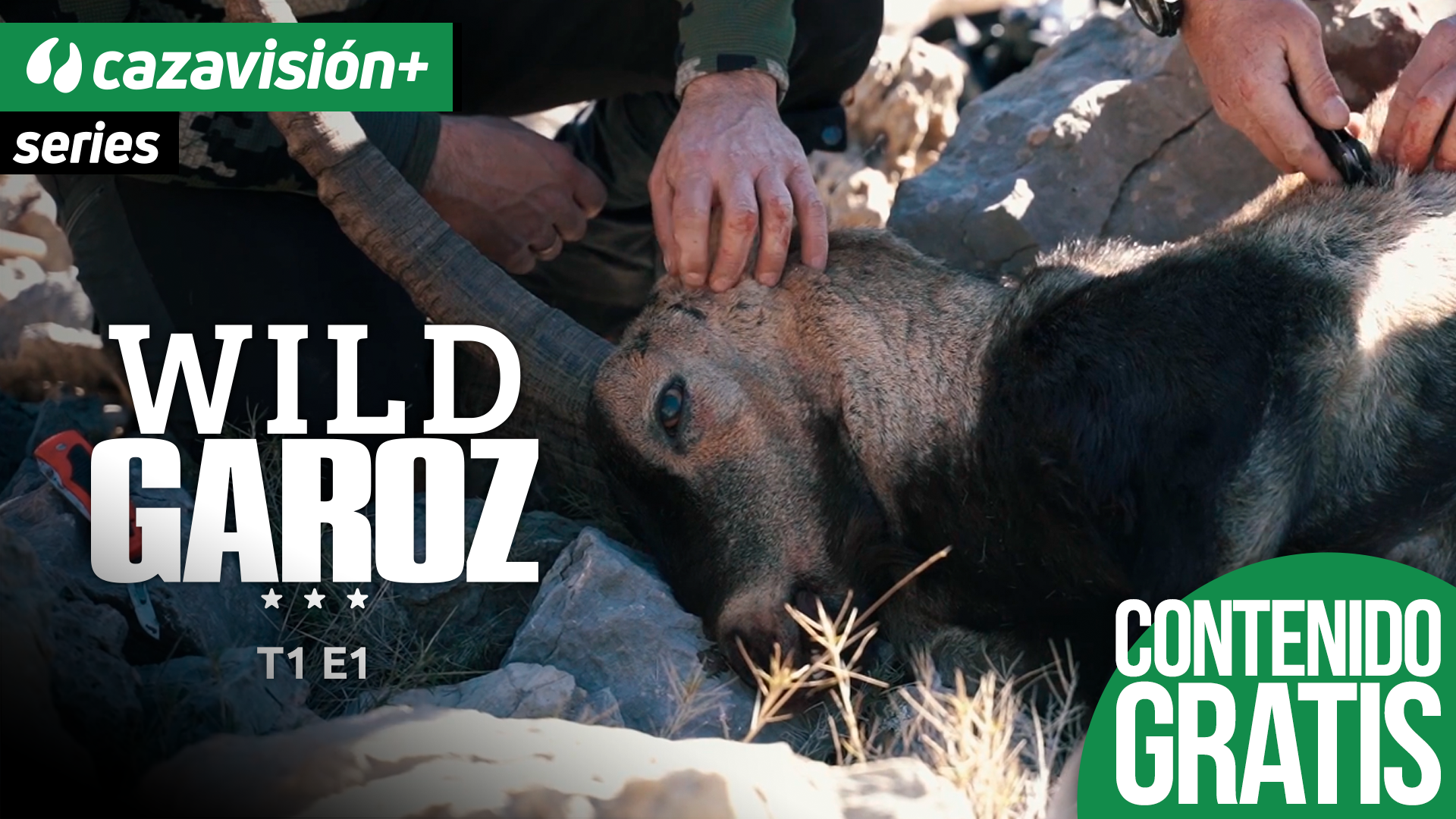 Los medrones de Castellón