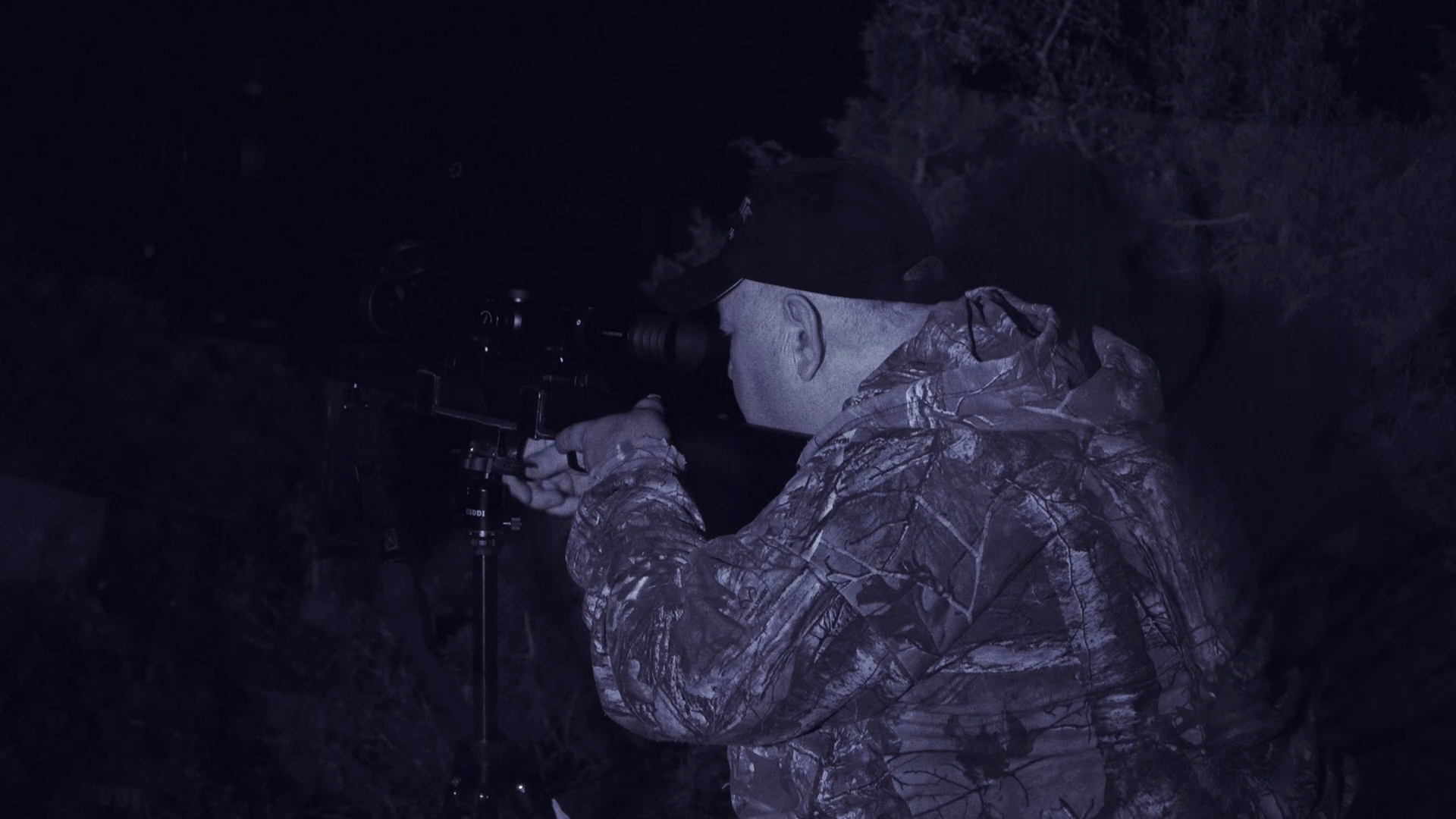 Jabalíes por daños en Bicorp