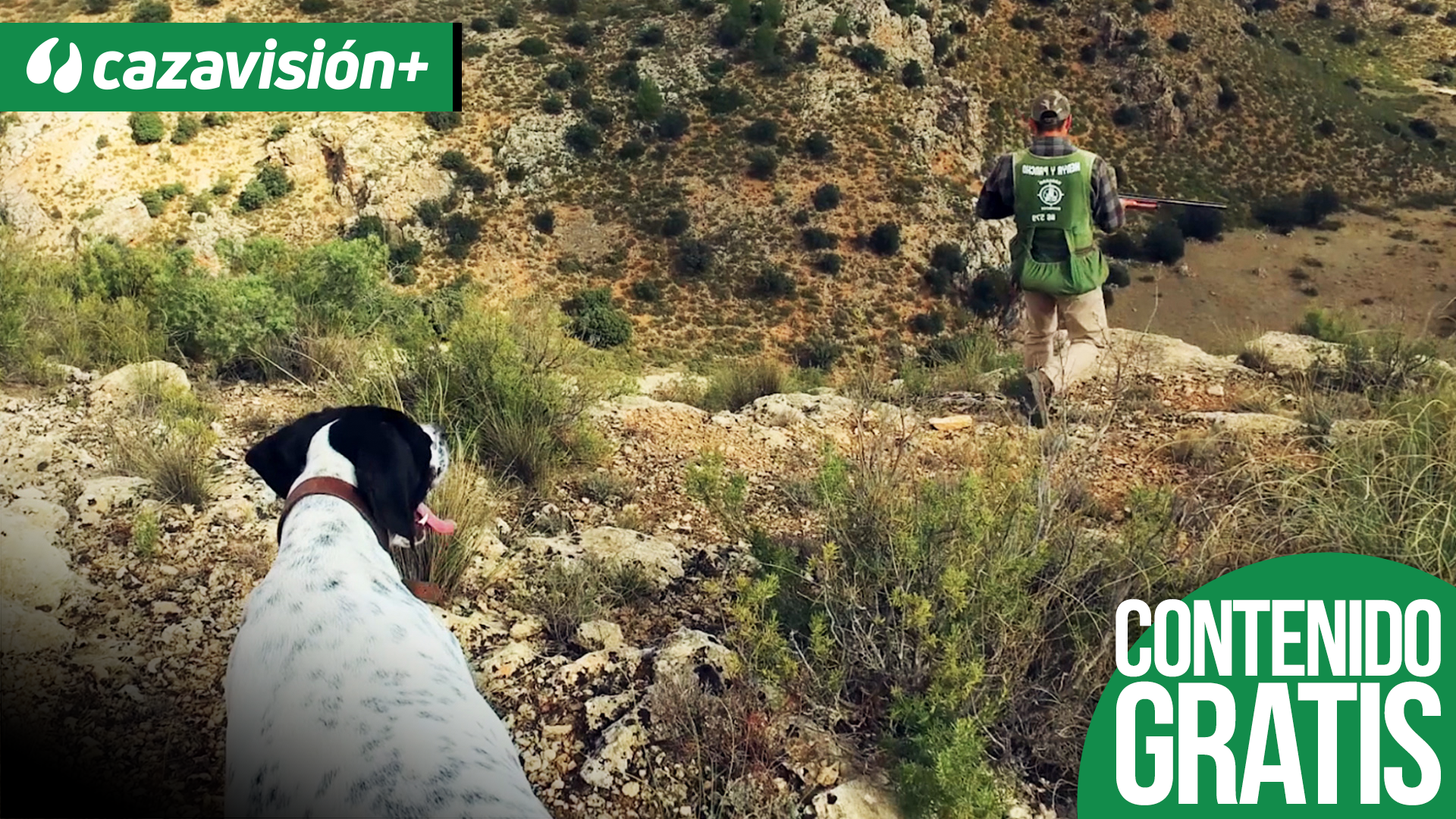 Las perdices de Tiriez