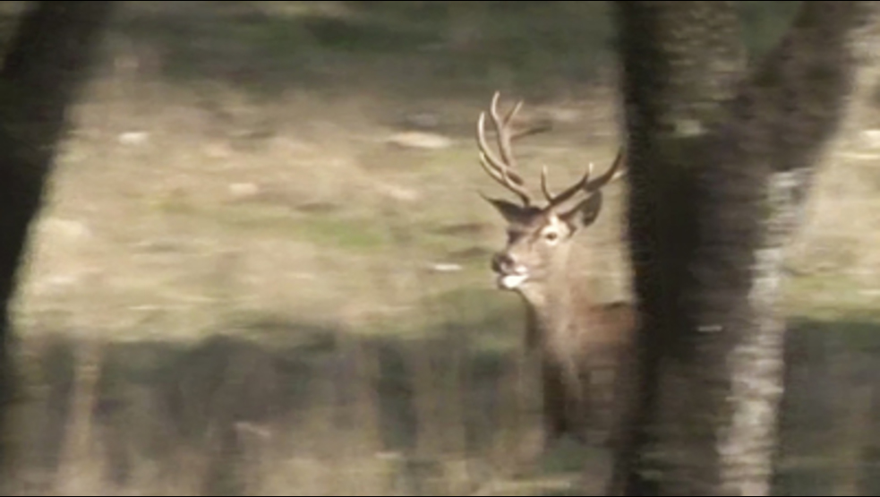Montería en Llanos del Contadero 2016-2017