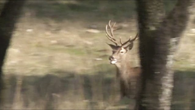 Montería en Llanos del Contadero 2016...