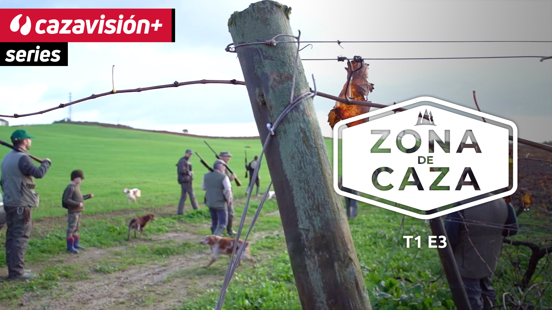 El papel de las asociaciones de cazadores