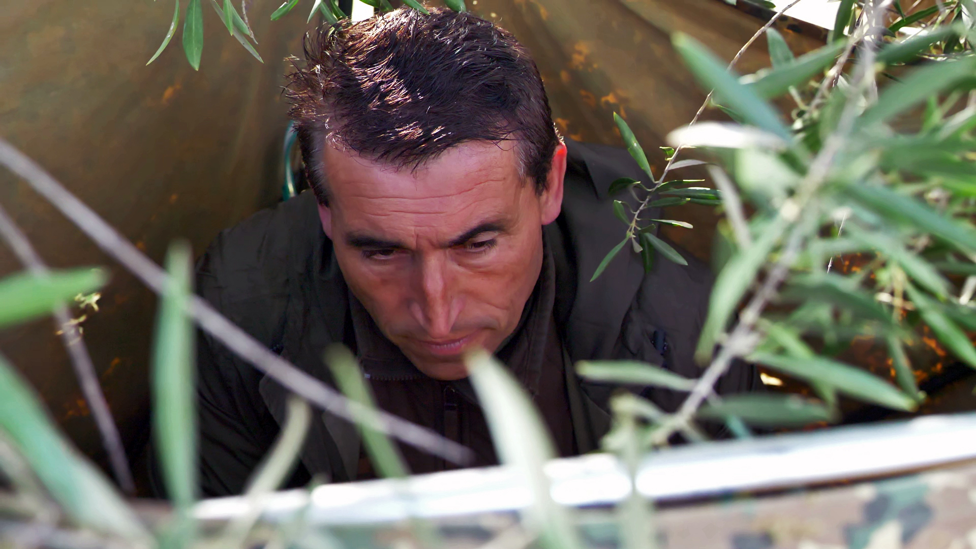 Caza de perdiz con reclamo en Córdoba