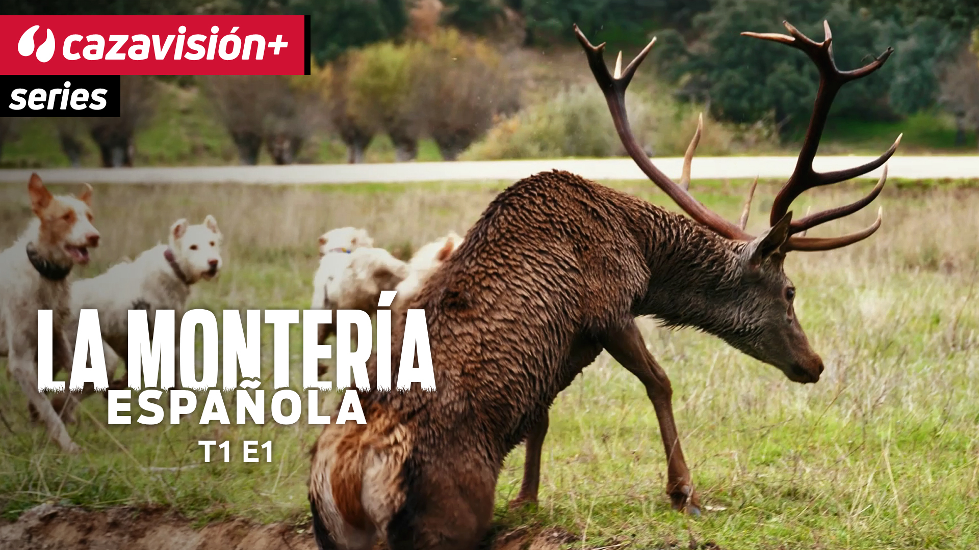 El origen de la montería