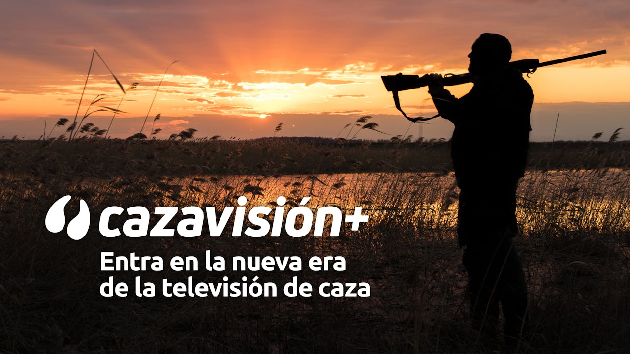 Reclamo entre olivos - Perdiz con reclamo - Cazavisión+