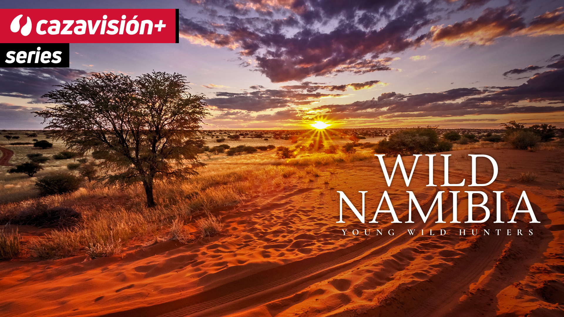 Wild Namibia