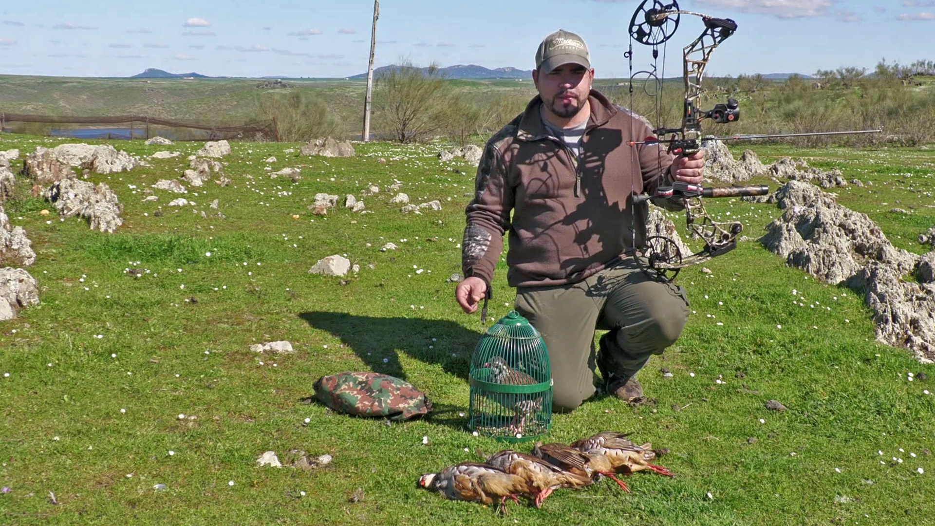 Reclamo de perdiz con arco