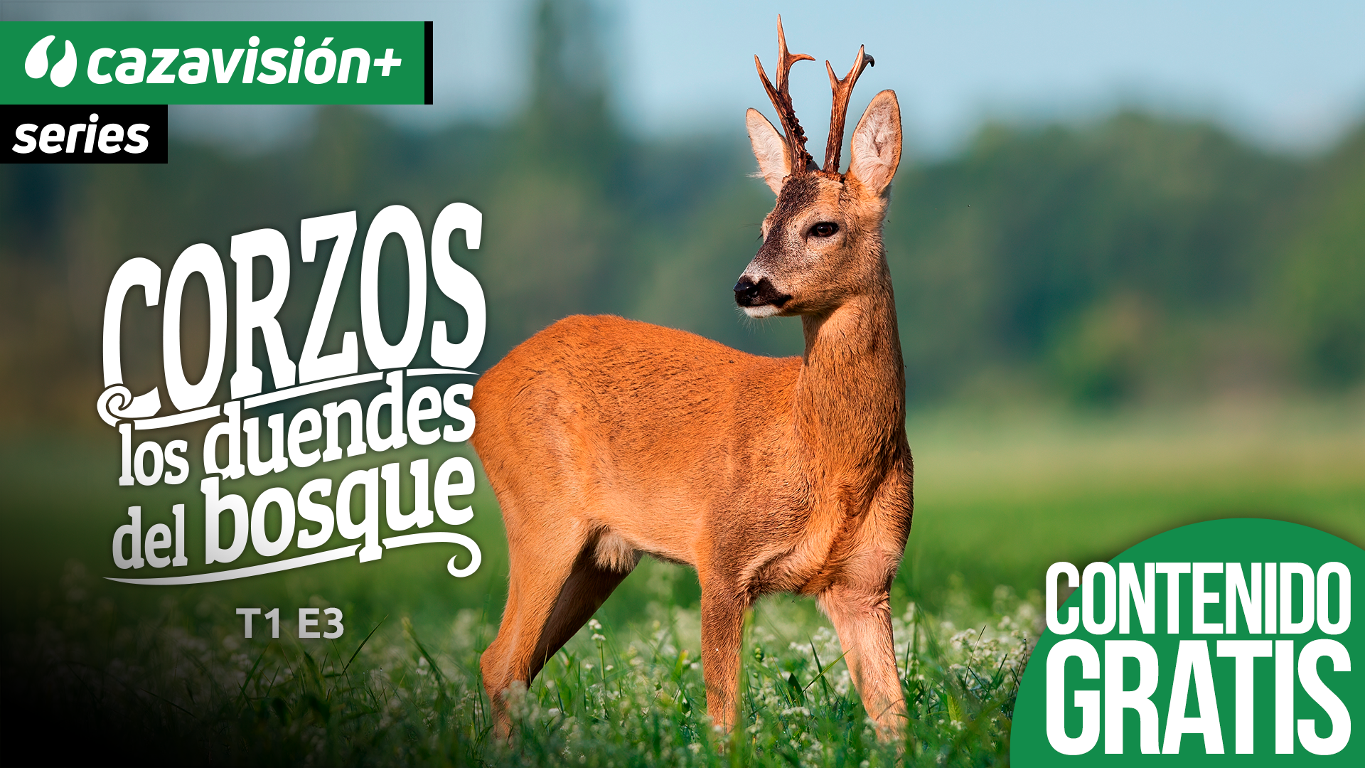 La alimentación: el tercer factor