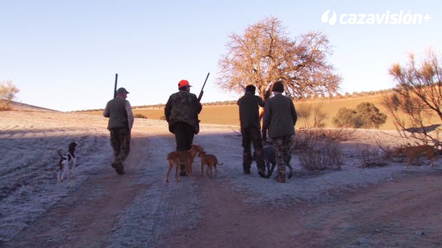 Caza en mano entre amigos