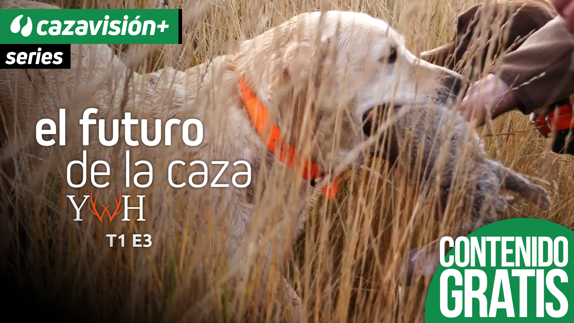 En mano y con amigos