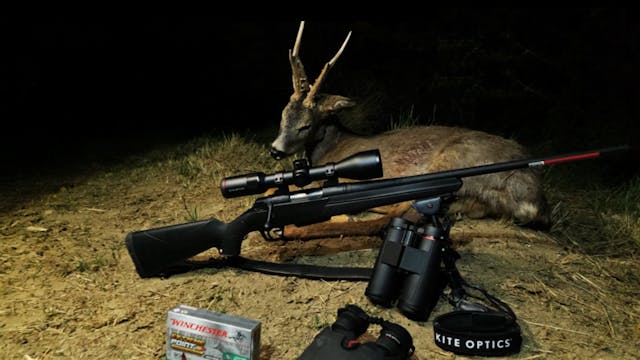 Un corzo de montaña con Winchester y ...