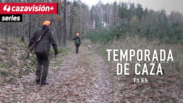 Las damas de los bosques europeos 2