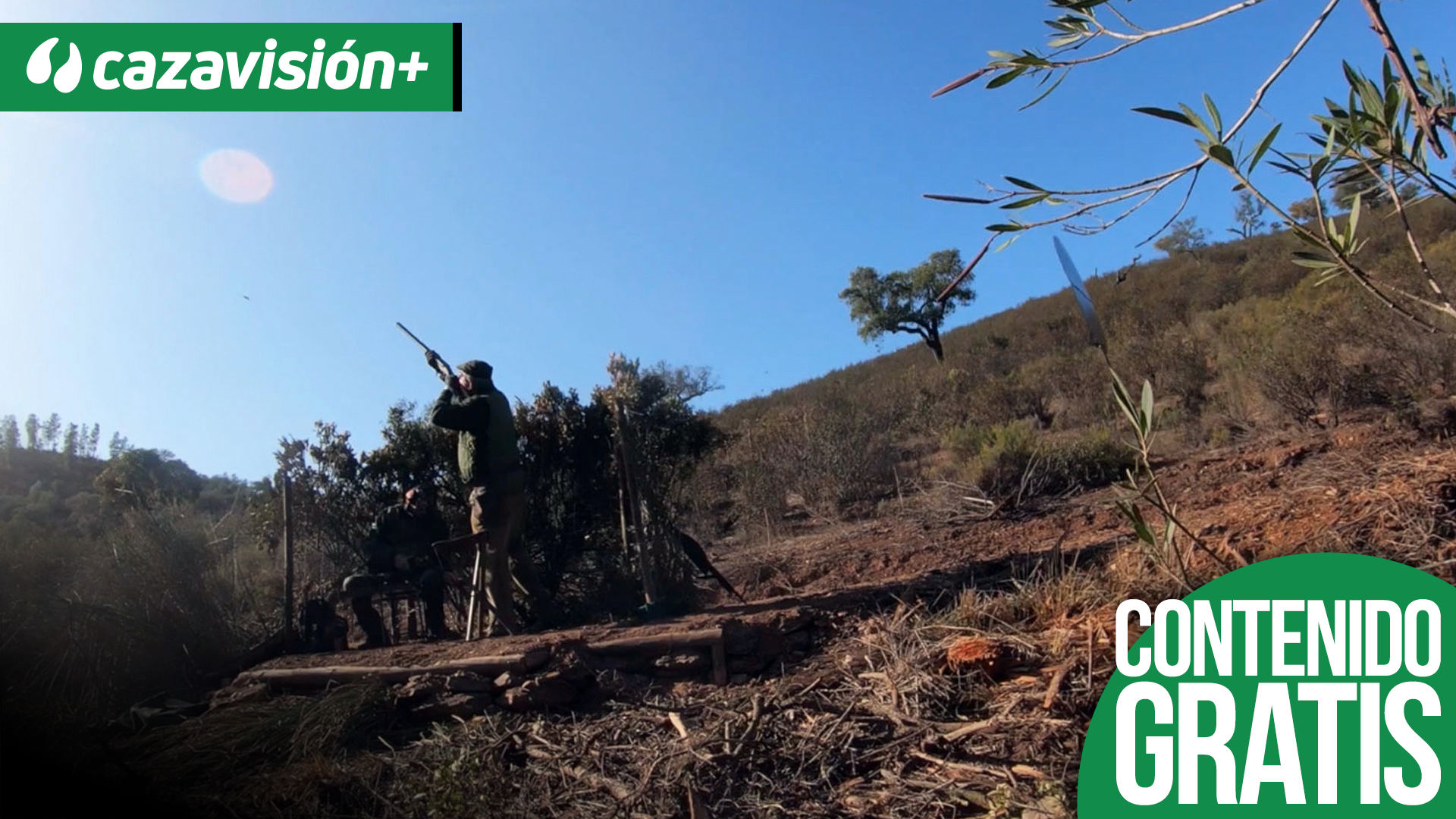 Las perdices de Várzea