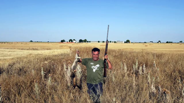 Conejos en Llanos del Caudillo