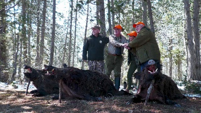 Attilas en las noches de Kastamonu