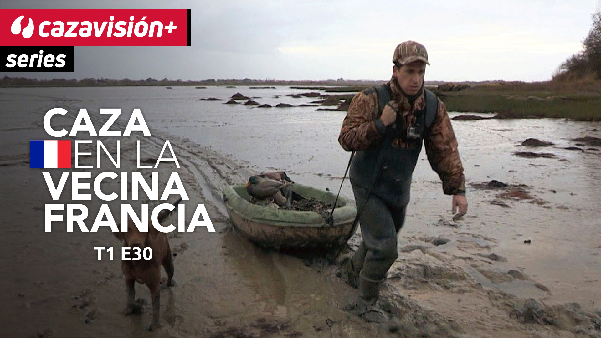 Patos en humedal y perdices griegas en montaña