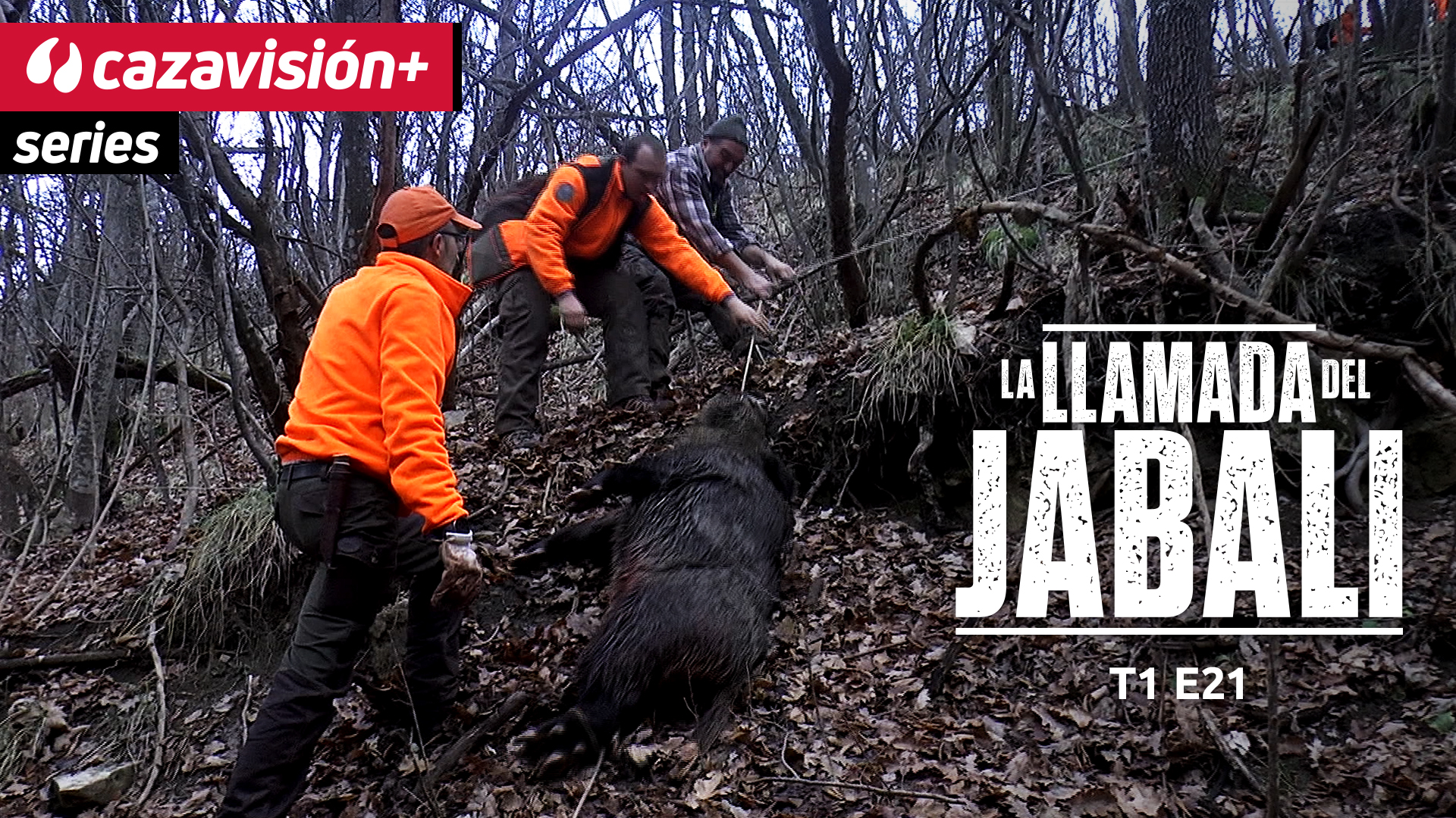 La llamada del jabalí 21. Especial 1 hora