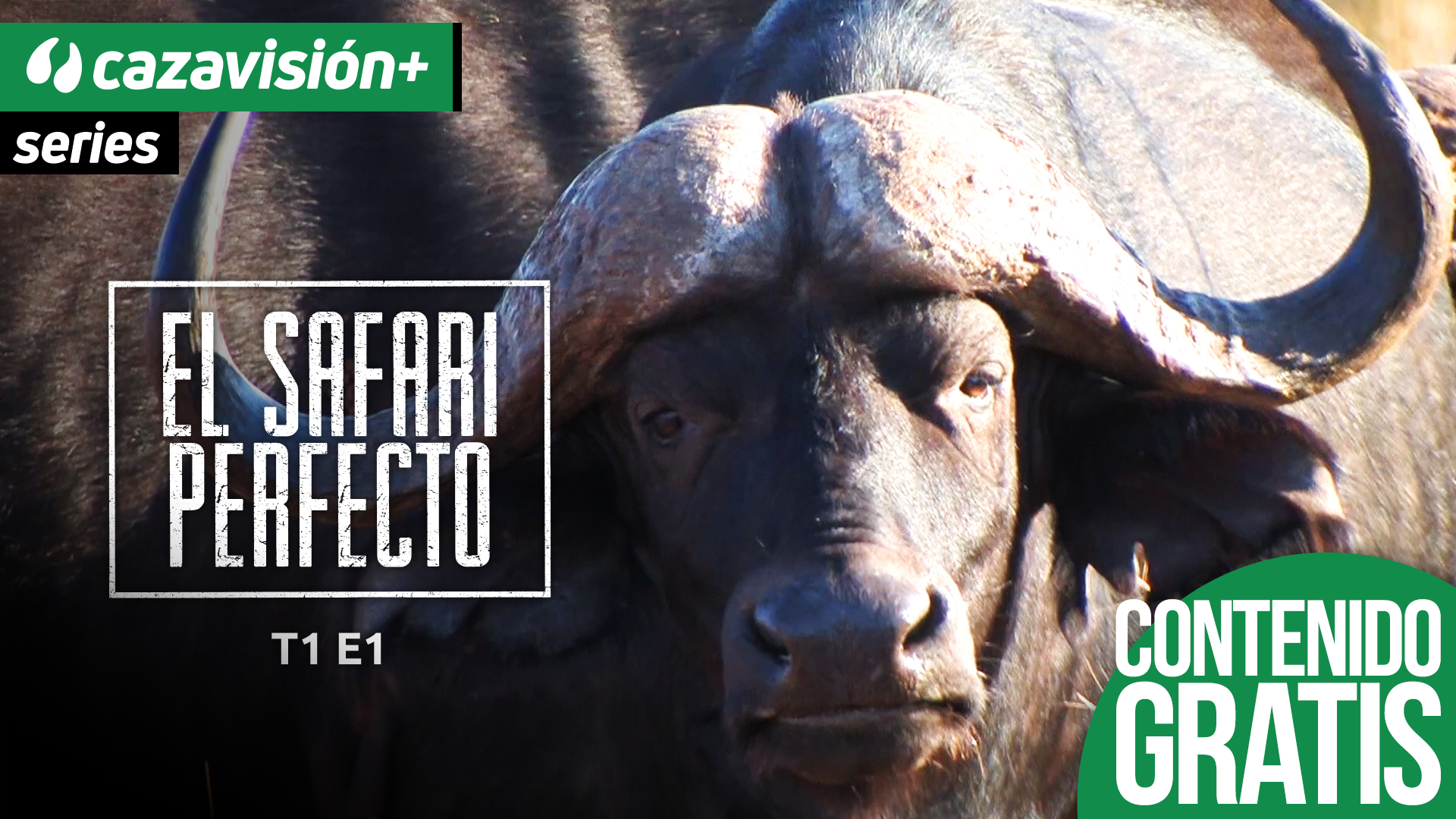 Búfalo. Primera parte