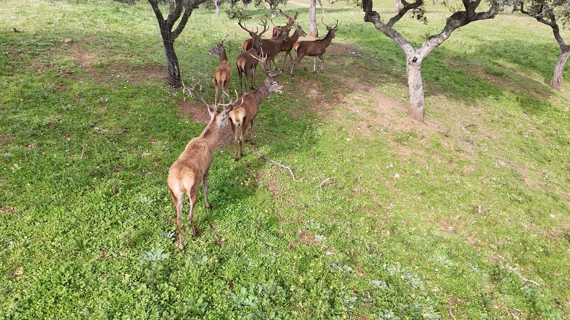 Monteando en Heredade Do Pedra