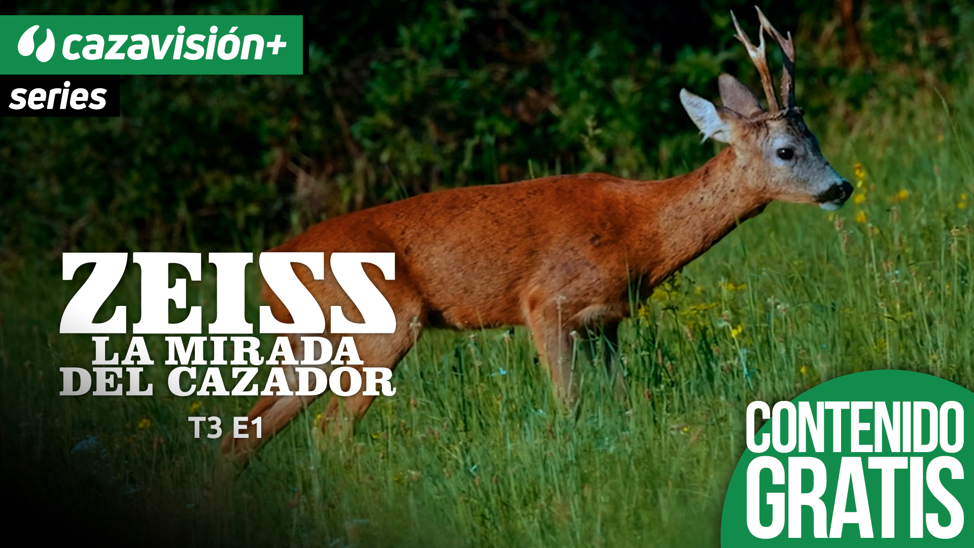 Zeiss, la mirada del cazador 3. Tras los corzos pucelanos con Ramón Bigtrophy