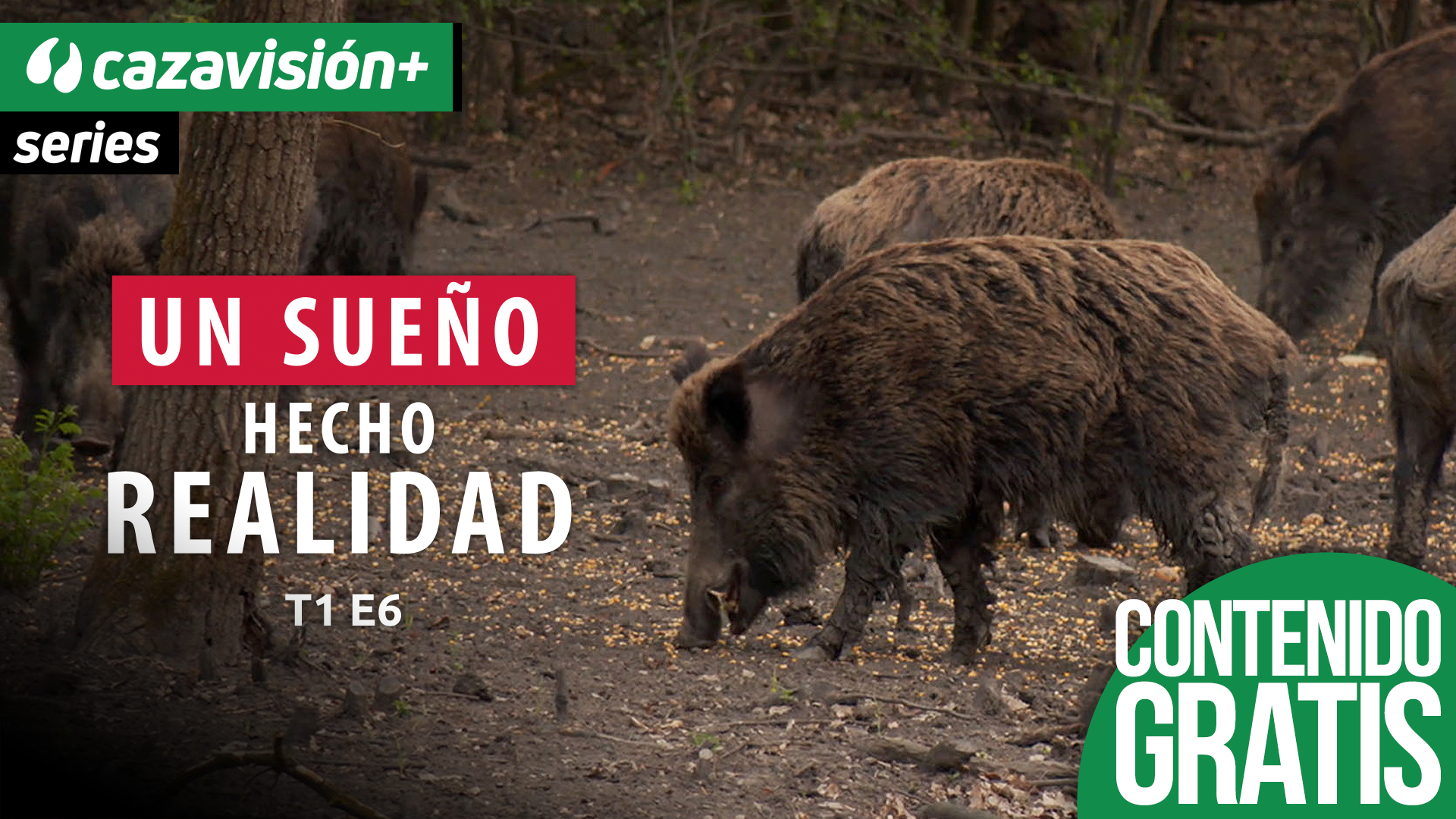 Hungría el sueño del cazador