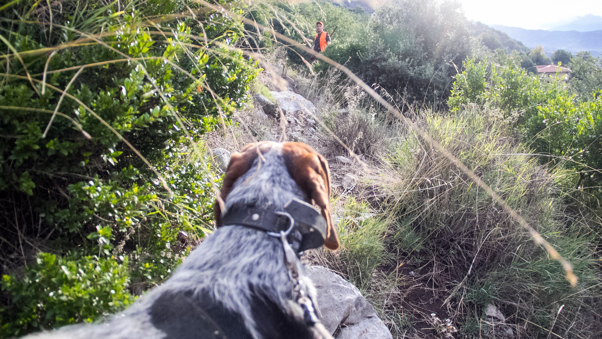 Montería en la Sierra de las Cabras