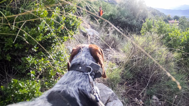 Montería en la Sierra de las Cabras